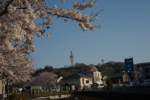 よみうりランド