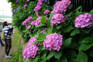 飛鳥山公園
