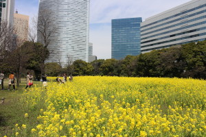 浜離宮