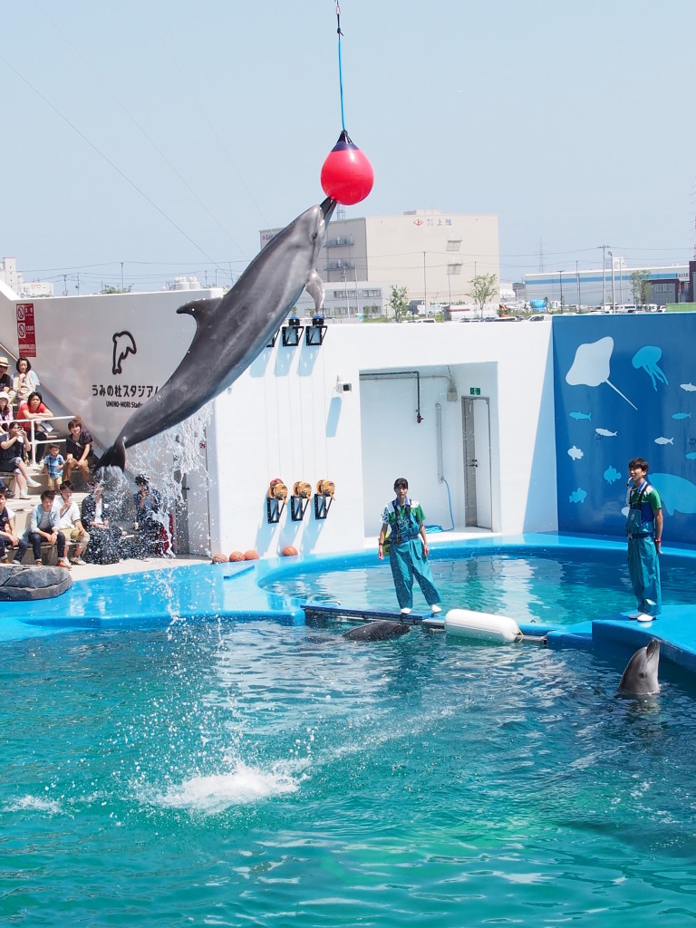 仙台うみのもり水族館