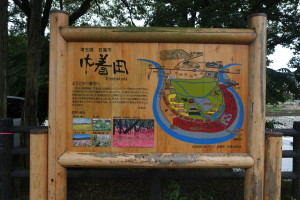 巾着田