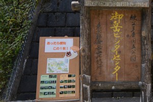 野草のバンフ