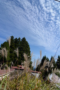 御岳山